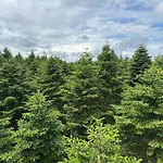 5 Star Holiday Home In Hovborg 度假居 *