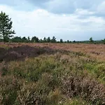 度假居 5 Star Holiday Home In Hovborg Hovborg