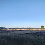 5 Star In * Hovborg
