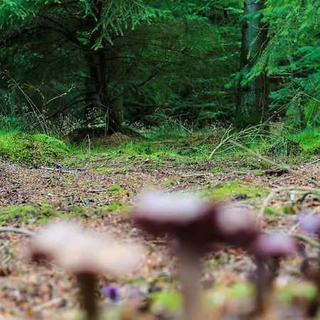 Holiday home 6 Person In Hovborg-by Traum